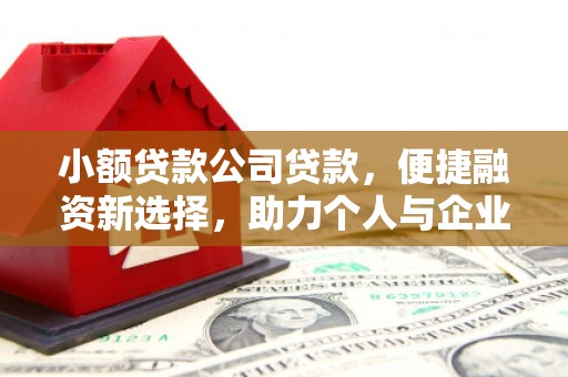 万源小额贷款公司贷款，便捷融资新选择，助力个人与企业成长