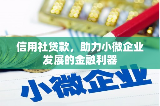 万源信用社贷款，助力小微企业发展的金融利器
