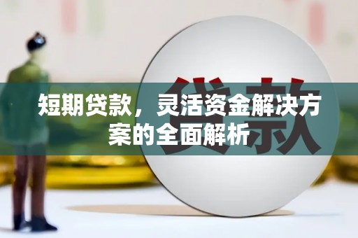 万源短期贷款，灵活资金解决方案的全面解析