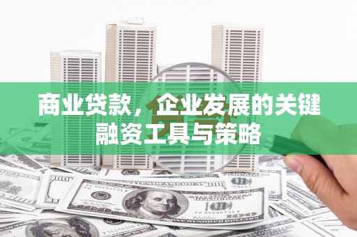 万源商业贷款，企业发展的关键融资工具与策略