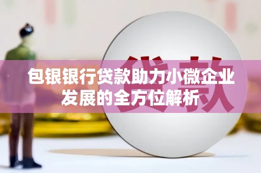 万源包银银行贷款助力小微企业发展的全方位解析