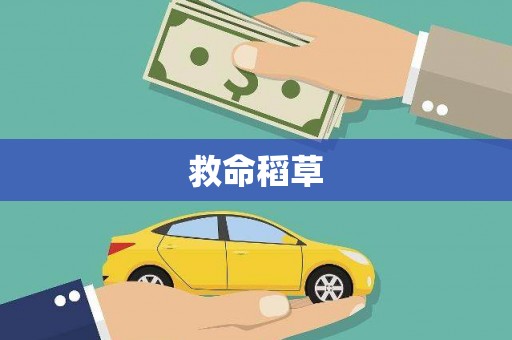 万源救命稻草