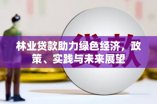 万源林业贷款助力绿色经济，政策、实践与未来展望