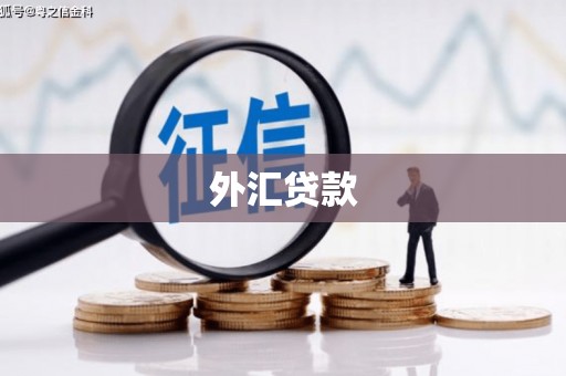 万源外汇贷款