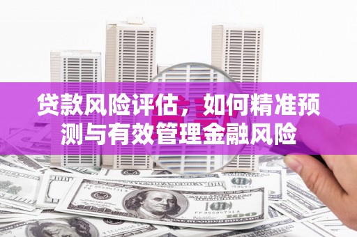 万源贷款风险评估，如何精准预测与有效管理金融风险