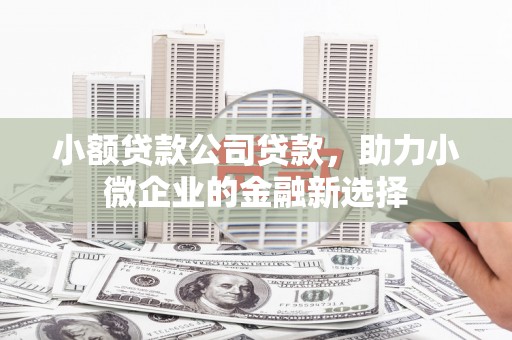 万源小额贷款公司贷款，助力小微企业的金融新选择