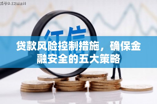 万源贷款风险控制措施，确保金融安全的五大策略