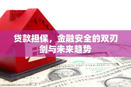 万源贷款担保，金融安全的双刃剑与未来趋势