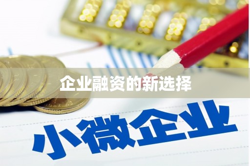 万源企业融资的新选择