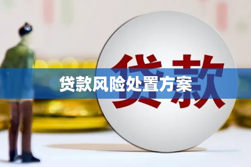 万源贷款风险处置方案