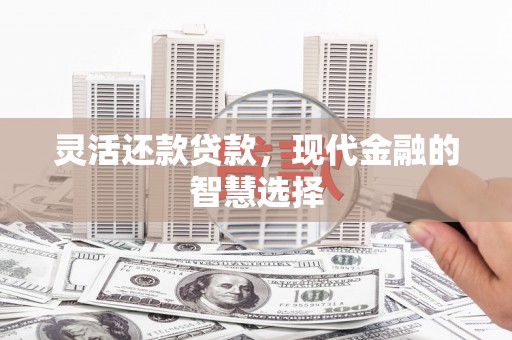 万源灵活还款贷款，现代金融的智慧选择