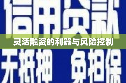 万源灵活融资的利器与风险控制