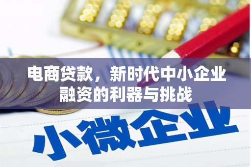 万源电商贷款，新时代中小企业融资的利器与挑战
