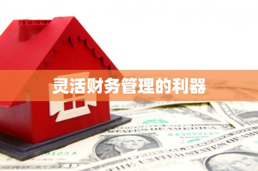 万源灵活财务管理的利器
