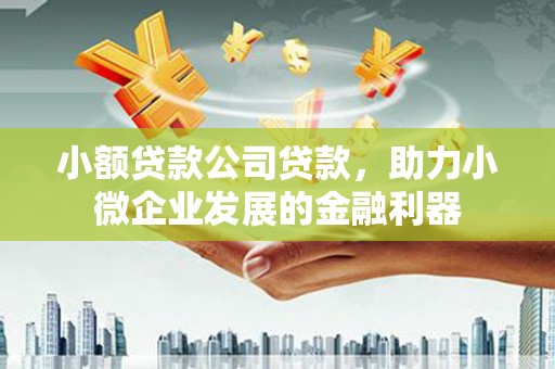 万源小额贷款公司贷款，助力小微企业发展的金融利器