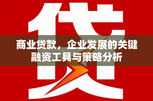 万源商业贷款，企业发展的关键融资工具与策略分析