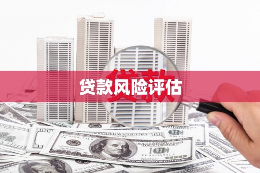 万源贷款风险评估