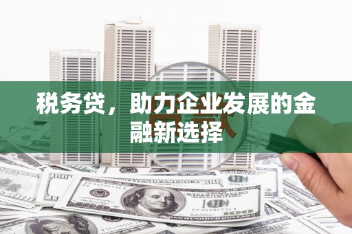 万源税务贷，助力企业发展的金融新选择