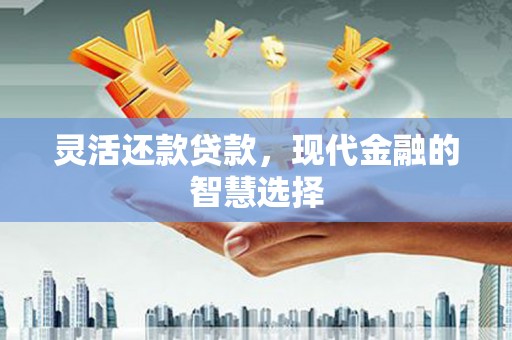 万源灵活还款贷款，现代金融的智慧选择