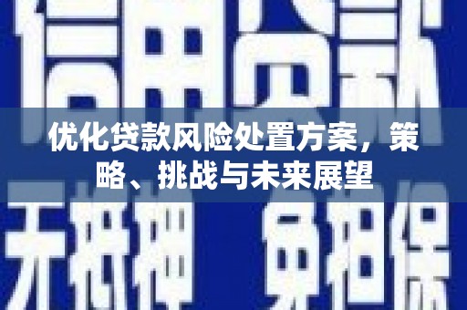 万源优化贷款风险处置方案，策略、挑战与未来展望