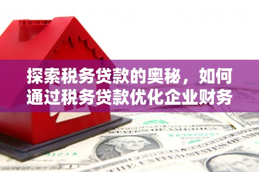 万源探索税务贷款的奥秘，如何通过税务贷款优化企业财务
