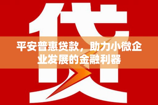 万源平安普惠贷款，助力小微企业发展的金融利器