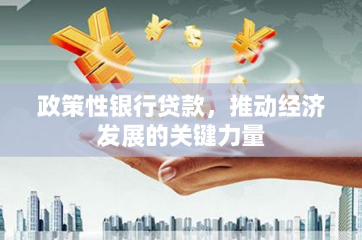 万源政策性银行贷款，推动经济发展的关键力量