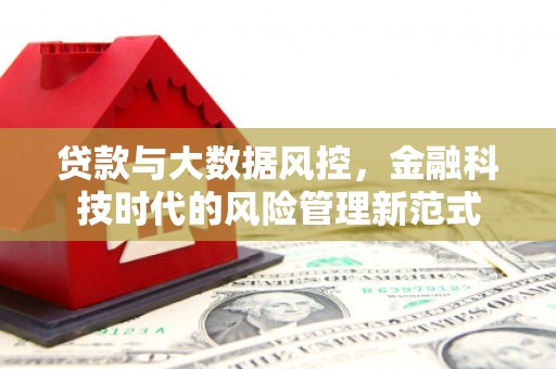 万源贷款与大数据风控，金融科技时代的风险管理新范式