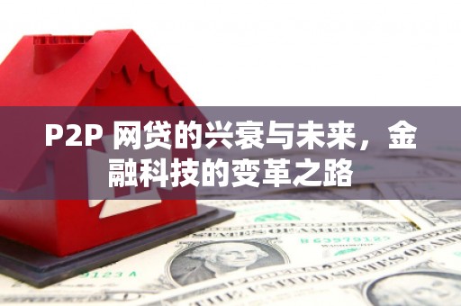 万源P2P 网贷的兴衰与未来，金融科技的变革之路