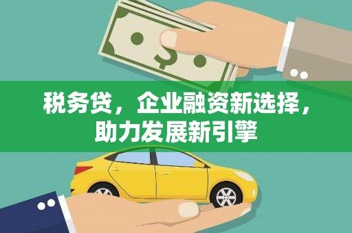 万源税务贷，企业融资新选择，助力发展新引擎