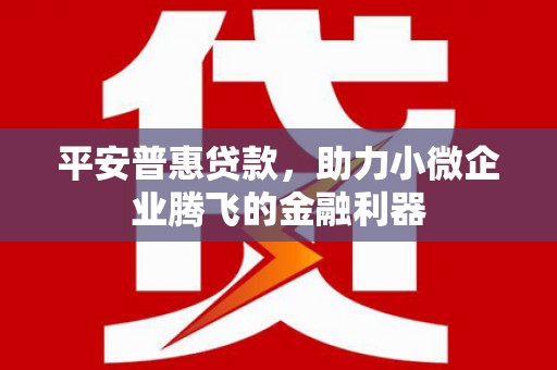 万源平安普惠贷款，助力小微企业腾飞的金融利器
