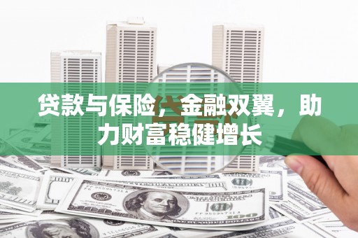 万源贷款与保险，金融双翼，助力财富稳健增长