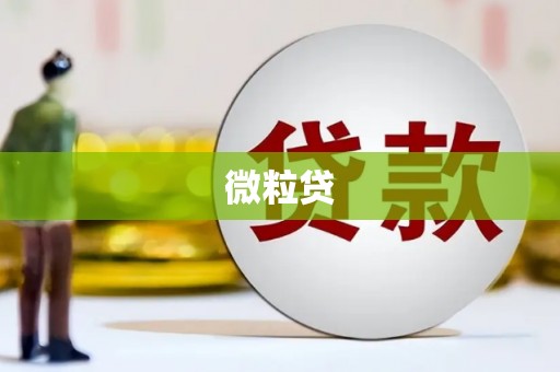 万源微粒贷