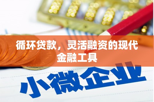 万源循环贷款，灵活融资的现代金融工具
