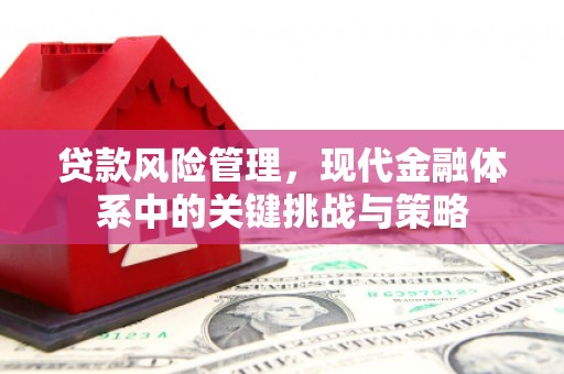 万源贷款风险管理，现代金融体系中的关键挑战与策略