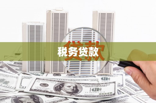 万源税务贷款