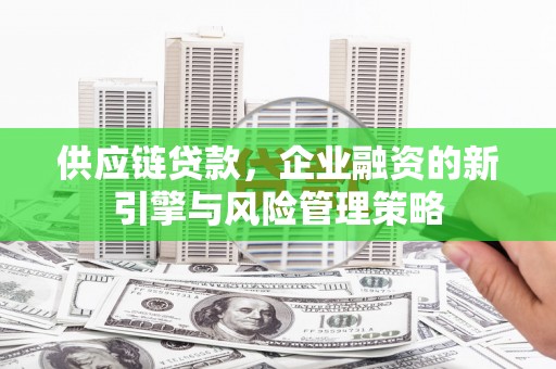 万源供应链贷款，企业融资的新引擎与风险管理策略