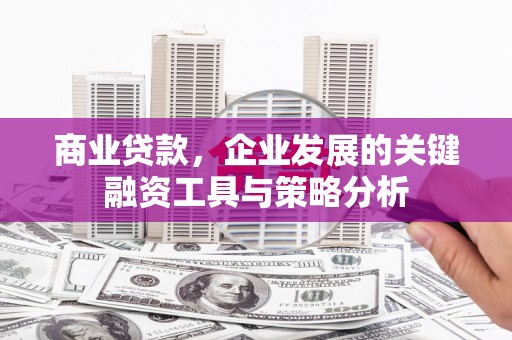 万源商业贷款，企业发展的关键融资工具与策略分析