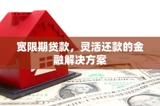 万源宽限期贷款，灵活还款的金融解决方案