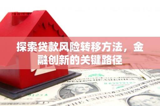 万源探索贷款风险转移方法，金融创新的关键路径