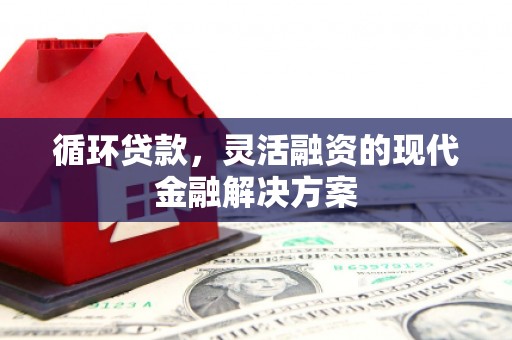 万源循环贷款，灵活融资的现代金融解决方案