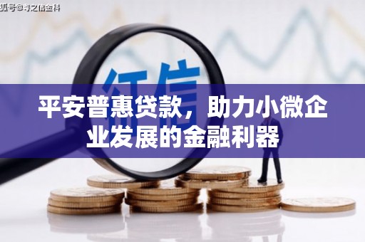 万源平安普惠贷款，助力小微企业发展的金融利器