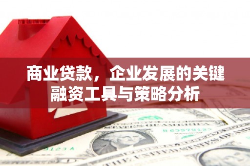 万源商业贷款，企业发展的关键融资工具与策略分析