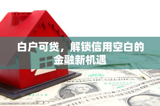 万源白户可贷，解锁信用空白的金融新机遇