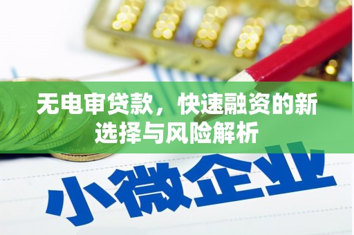万源无电审贷款，快速融资的新选择与风险解析