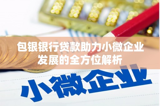 万源包银银行贷款助力小微企业发展的全方位解析