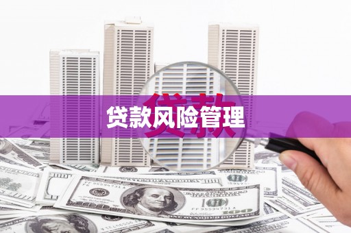 万源贷款风险管理