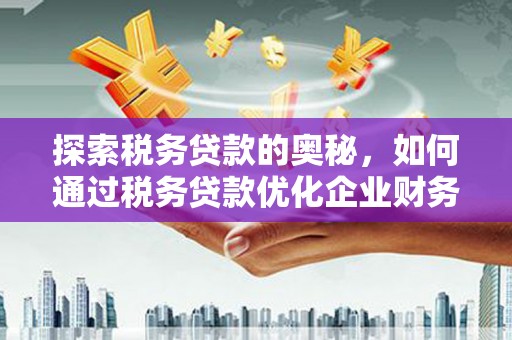 万源探索税务贷款的奥秘，如何通过税务贷款优化企业财务