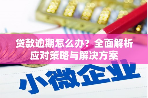 万源贷款逾期怎么办？全面解析应对策略与解决方案