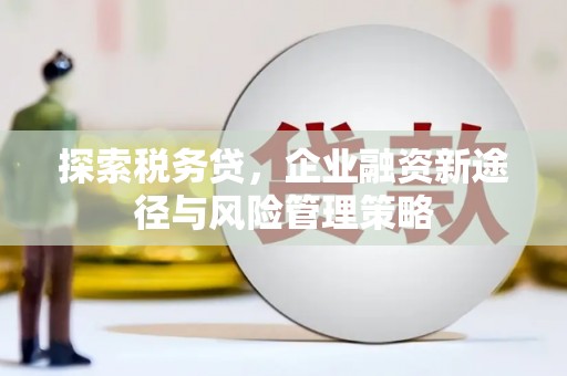 万源探索税务贷，企业融资新途径与风险管理策略